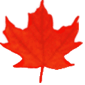 Feuille d'érable